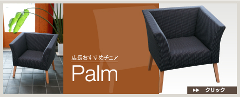 ŹĹ Palm